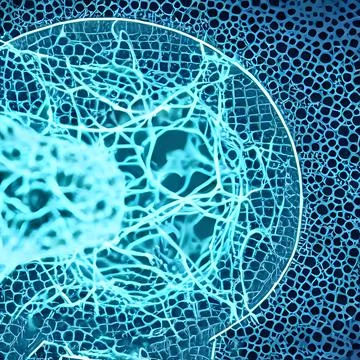 Computer generated multiple virus bacteria floating in a cellular environment Stock Illustration