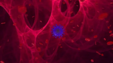 Computer-generated visualization of chickenpox virus replication in the human Stock Footage 273922428