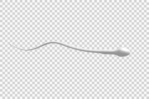 Computer graphic image of sperm cell Stock Photos