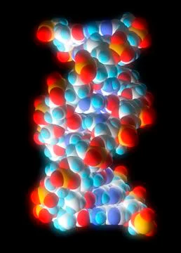 Computer graphic of a segment of beta dna 库存插图