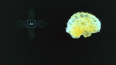 Computer graphics rotation of a schematic polygonal human brain on a dark backgr Stock Footage 232988739