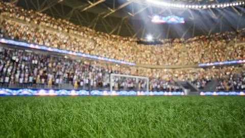 Computer graphics soccer fans waiting for match to start during sunny day Stock Illustration