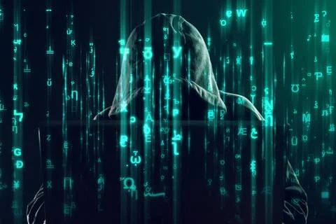 Computer hacker working on laptop, programming bugs and viruses Foto stock