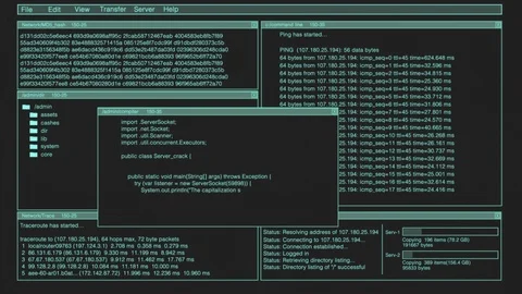 Computer Hackers Screen With Code, Pings, Trace Routes, and Hash encryption Stock Footage 122708709