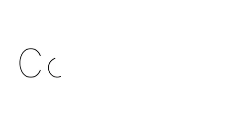 Computer Handwritten Text Animation in Various Sans-Serif Fonts and Weights Stock Footage 113909947