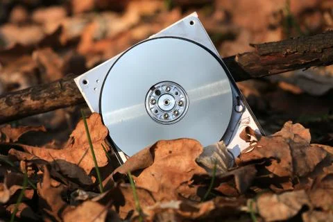 Computer hard disk in autumn leafage in forest Stock Photos