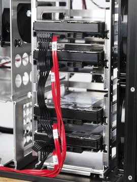 Computer hard drives in drive bays, RAID HDD disk array closeup 스톡 사진