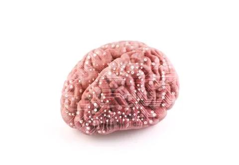 Computer human brain isolated on white with clipping path Stock-Fotos