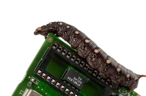 Computer internet big board brown bug chip edge Stock Photos