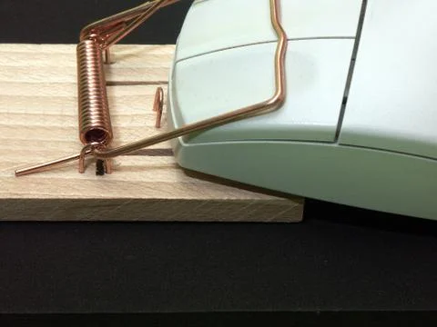 Computer internet broadband code virus crime 스톡 사진