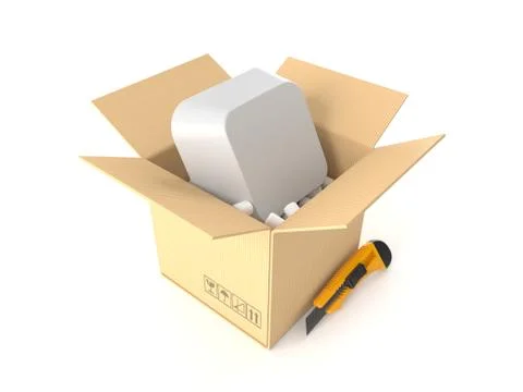 Computer key inside package Stock Illustration
