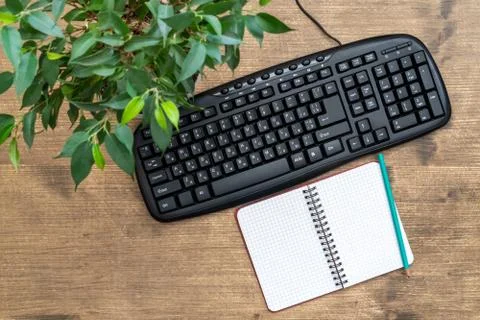 Computer keyboard, blank notepad and poted plant Stock Photos