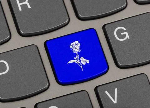 Computer keyboard with flower key Computer keyboard with flower key - tech... Stock Photos