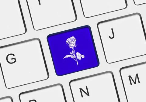 Computer keyboard with flower key Computer keyboard with flower key - tech... Stock Photos