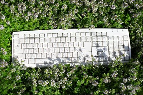 Computer keyboard. Isolated on grass background Stock Photos