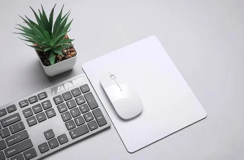 Computer keyboard mouse and plant on a desk workspace Stock Photos