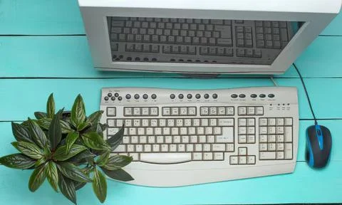 Computer with keyboard mouse and plant on turquoise desk Stock Photos