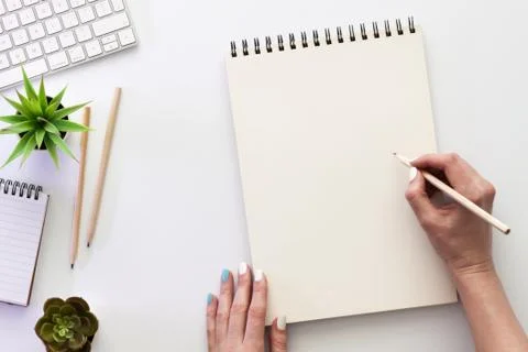Computer keyboard, notebook, sketchbook and succulents. Stock Photos