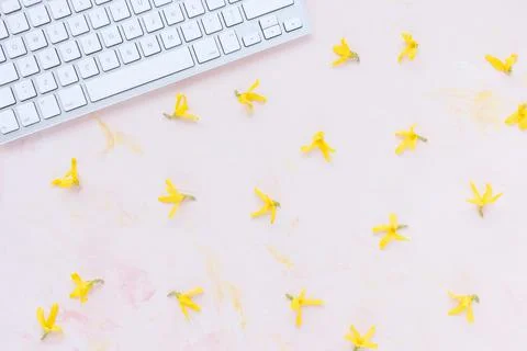 Computer keyboard on spring pink background with yellow flowers, copy space Stock Photos
