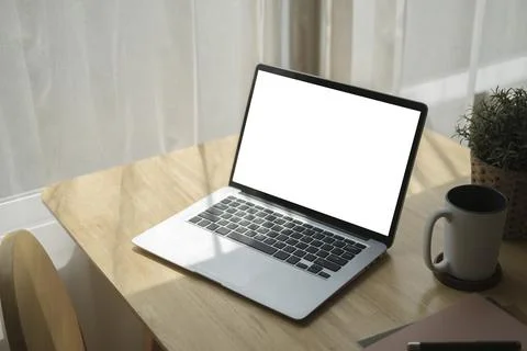 Computer laptop, coffee cup, notebook and potted plant on wooden table in bri Foto stock