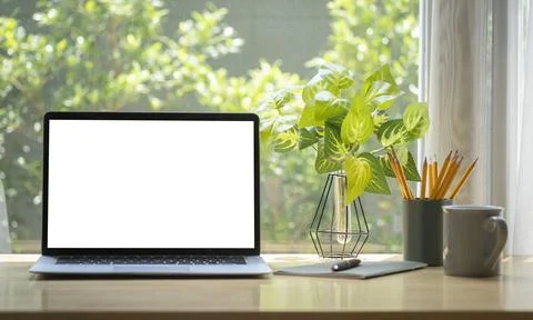 Computer laptop with empty display, coffee cup, pencil holder and houseplant  Foto stock