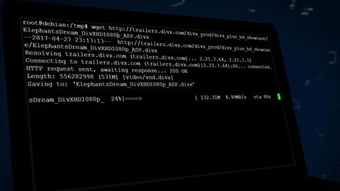 Computer laptop screen with video file downloading command line app Stock Footage 90742171