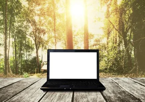 Computer laptop on wooden table, in forest background. Clipping path screen Stock Photos