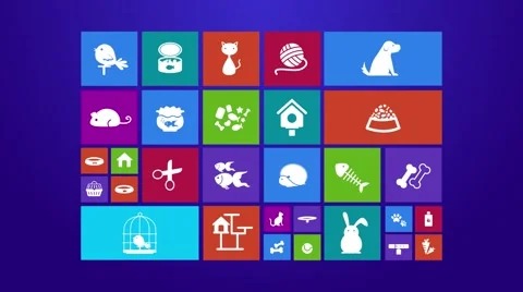 Computer mobile application app animation flat pet and accessories object icon Stock Footage 61378853
