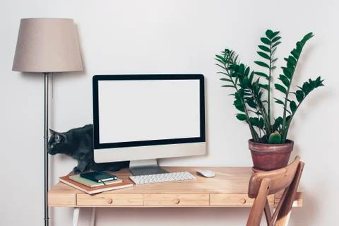 Computer with mockup screen on office table and grey kitten Stock Photos