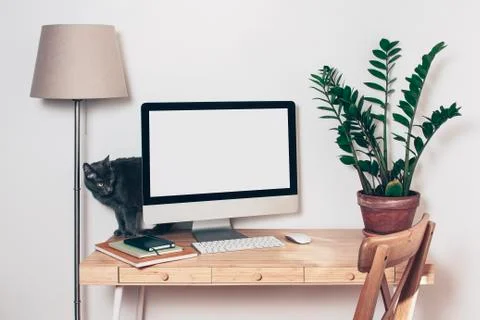 Computer with mockup screen on office table and grey kitten Stock Photos