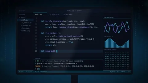 Computer monitor displaying programming code and financial analytics charts 動画素材 347257525
