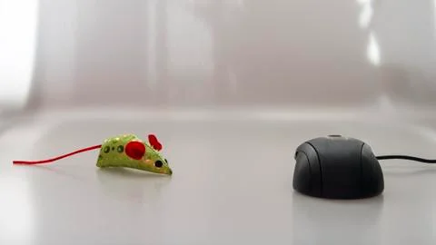 Computer mouse and bright colored toy concept Stock Photos