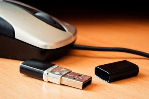 Computer mouse and flash drive Stock Photos