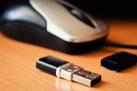 Computer mouse and flash drive Stock Photos