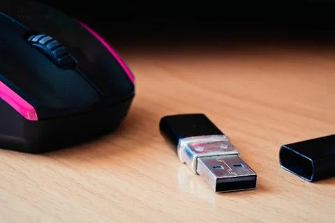 Computer mouse and flash drive Stock Photos