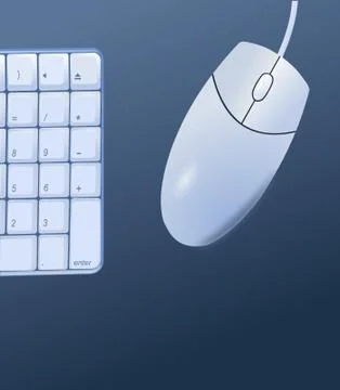 Computer mouse and keyboard Illustrazione stock
