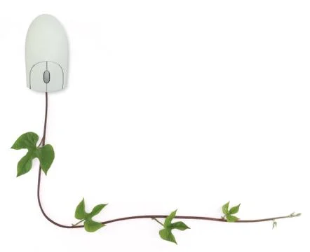 Computer mouse and vine border Foto stock