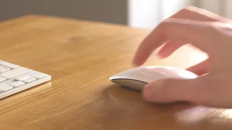 Computer mouse Stock Footage 73223677