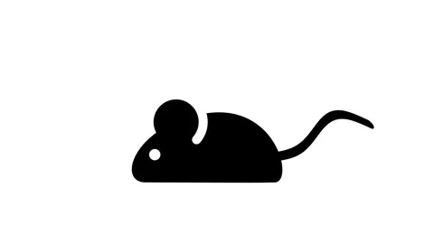 Computer Mouse Input Device Icon 스톡 동영상 336838261
