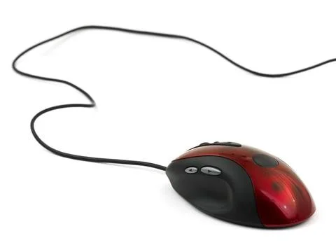 Computer mouse isolated on white background Computer mouse isolated on whi... Stock Photos