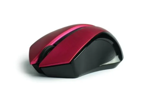 The computer mouse isolated on white Foto stock