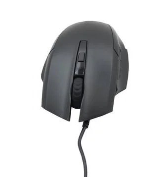 Computer mouse isolated on white Stock Photos