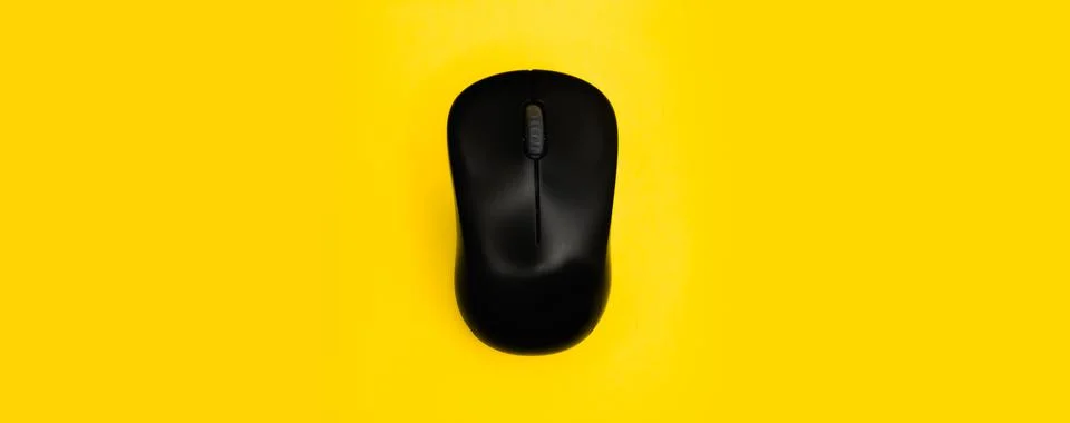 Computer mouse. No labels. Mockup. Beautiful colors. Free space. Mockup for 写真素材