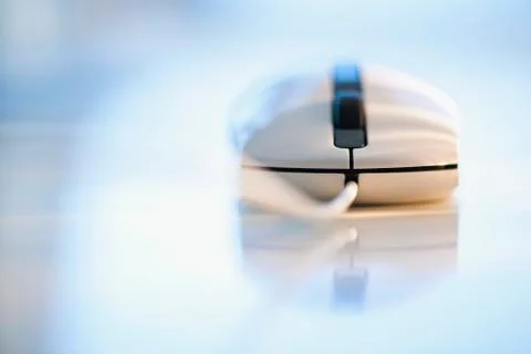 Computer mouse Foto stock