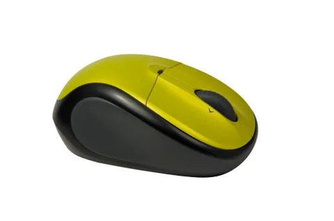 Computer mouse. Stock Photos
