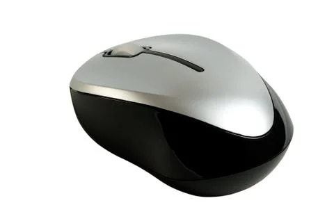 Computer mouse. Stock Photos