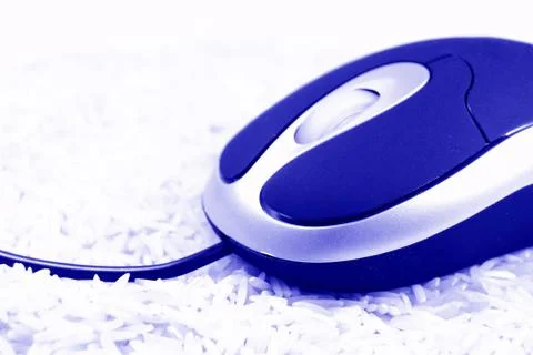 Computer mouse Stock Photos