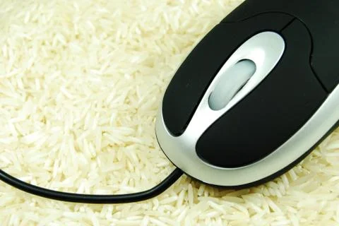 Computer mouse Foto stock