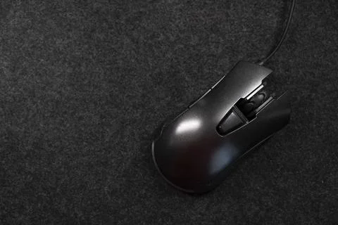 Computer mouse. Stock Photos