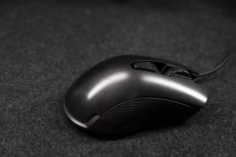 Computer mouse. Stock Photos